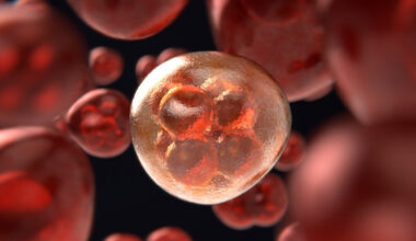 Immune reprogramming for cancer, and squeaky shoe science