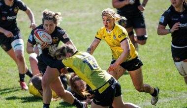 Trailfinders' White on why PWR play-off spot is becoming more of a reality