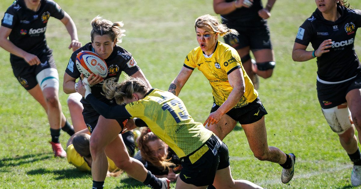 Trailfinders' White on why PWR play-off spot is becoming more of a reality