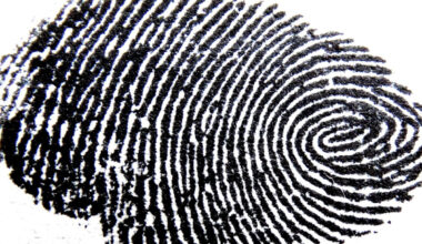 Seeing how fingerprints aid touch in real time