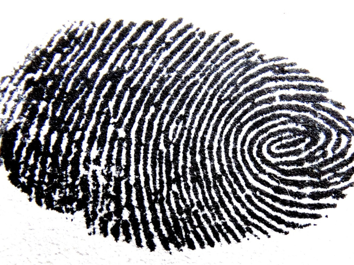 Seeing how fingerprints aid touch in real time