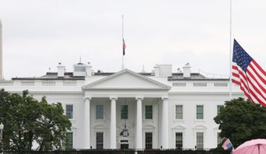 Dana White says UFC White House card is done