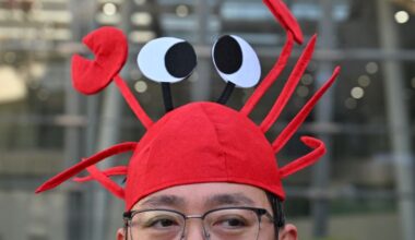 OpenClaw: China’s latest tech obsession could be a game changer