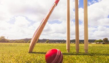 NZ20 tension's been a long time coming, former NZC CEO says