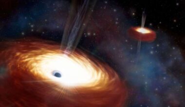 Gravitational Wave Analysis Reveals Dynamics of Binary Supermassive Black Holes