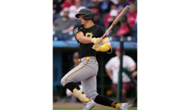 MLB Rosters Find New Life in Spring Training