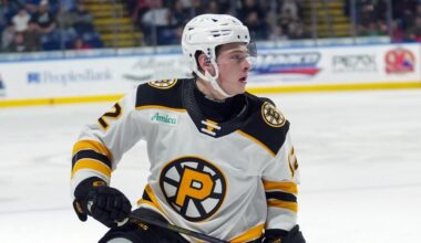 AHL teams adding youth as college, junior seasons end | TheAHL.com