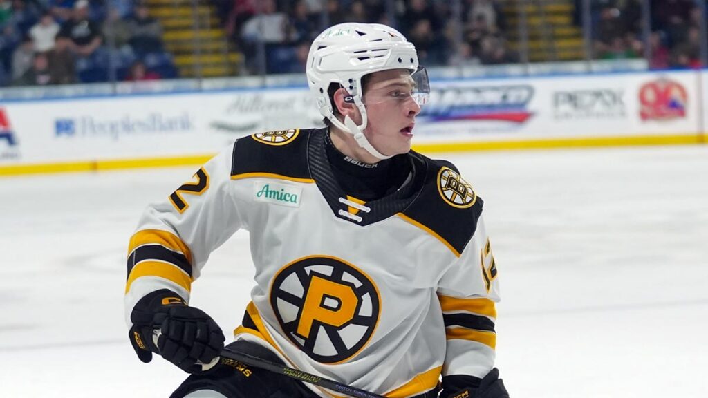 AHL teams adding youth as college, junior seasons end | TheAHL.com