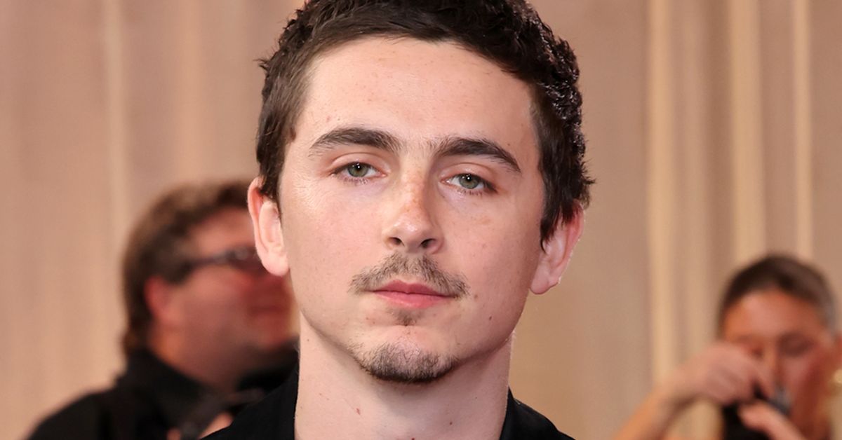 Timothée Chalamet ballet, opera comments spark furious responses from celebrities and industry figures