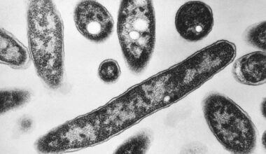 Urgent health warning after outbreak of Legionnaires' disease in Melbourne