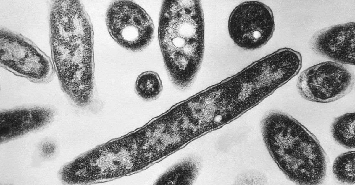 Urgent health warning after outbreak of Legionnaires' disease in Melbourne