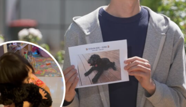 Two womenafter stolen puppy located 30 kilometres from home