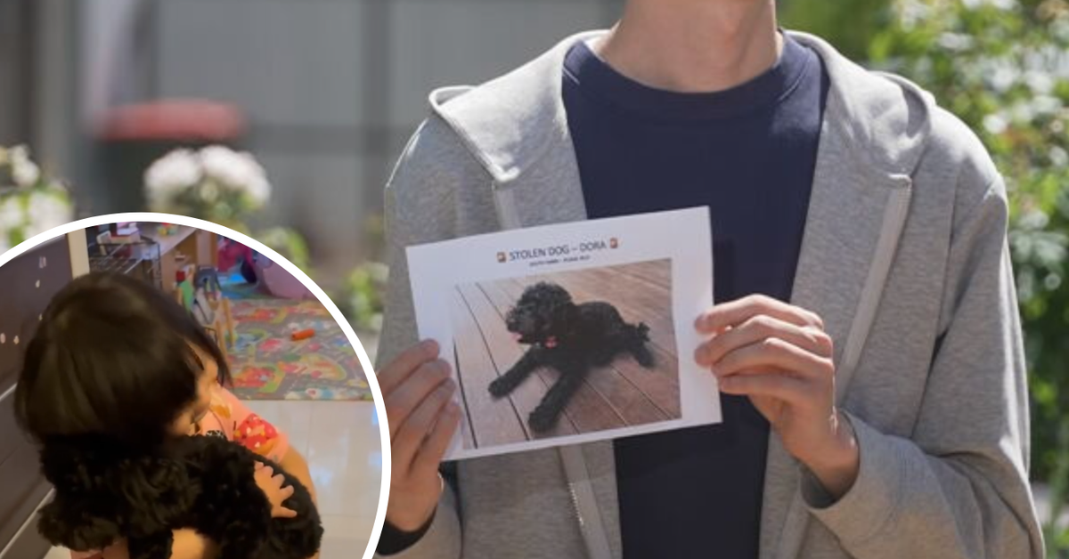 Two womenafter stolen puppy located 30 kilometres from home