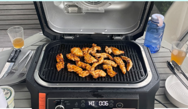 Ninja Woodfire Pro XL Outdoor Electric BBQ Grill & Smoker review: Price, features, pros, cons, is it worth it, and everything to know | Become a grill-master