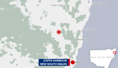 Boy charged after alleged hit-and-run incident leaves woman fighting for life