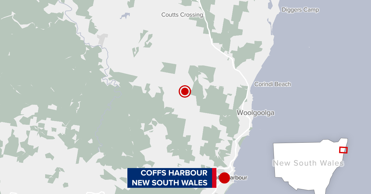 Boy charged after alleged hit-and-run incident leaves woman fighting for life