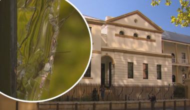 Man charged for allegedly smashing NSW Parliament House window with barbell