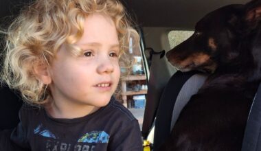 SA Police allege two family members 'not cooperating' with investigators