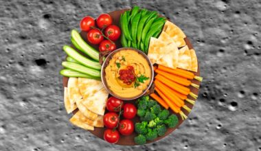 Hummus on the Moon? Scientists grow chickpeas in Moon dirt. Credit: NASA/Goddard/Arizona State University / Anjelika Gretskaia / Getty Images