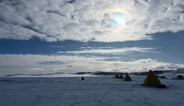 Brighter Side of News