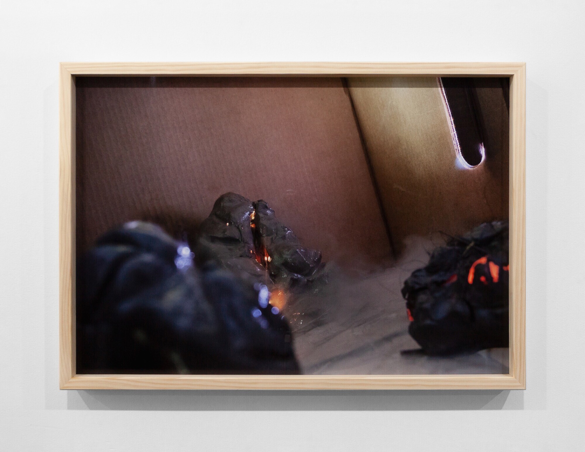 <p>Helena Tan, <em>Fluff but it’s still life (ii), </em>2026. Archival pigment print, wood, glass. 75 x 95 x 4 cm, ed 1/3 +1 ap. Photo courtesy of the artist and Animal House Fine Arts.</p>