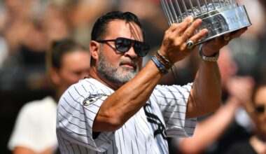 The White Sox will win the World Series!