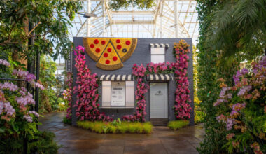 orchid landscapes bloom in exhibition of a reimagined new york city