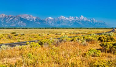 Invasive species are causing escalating damage across ecosystems in the United States, prompting federal officials to warn that the issue has grown so severe it is now "a matter of national security."