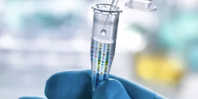 Gloved hand holding a microcentrifuge tube while a pipette dispenses liquid