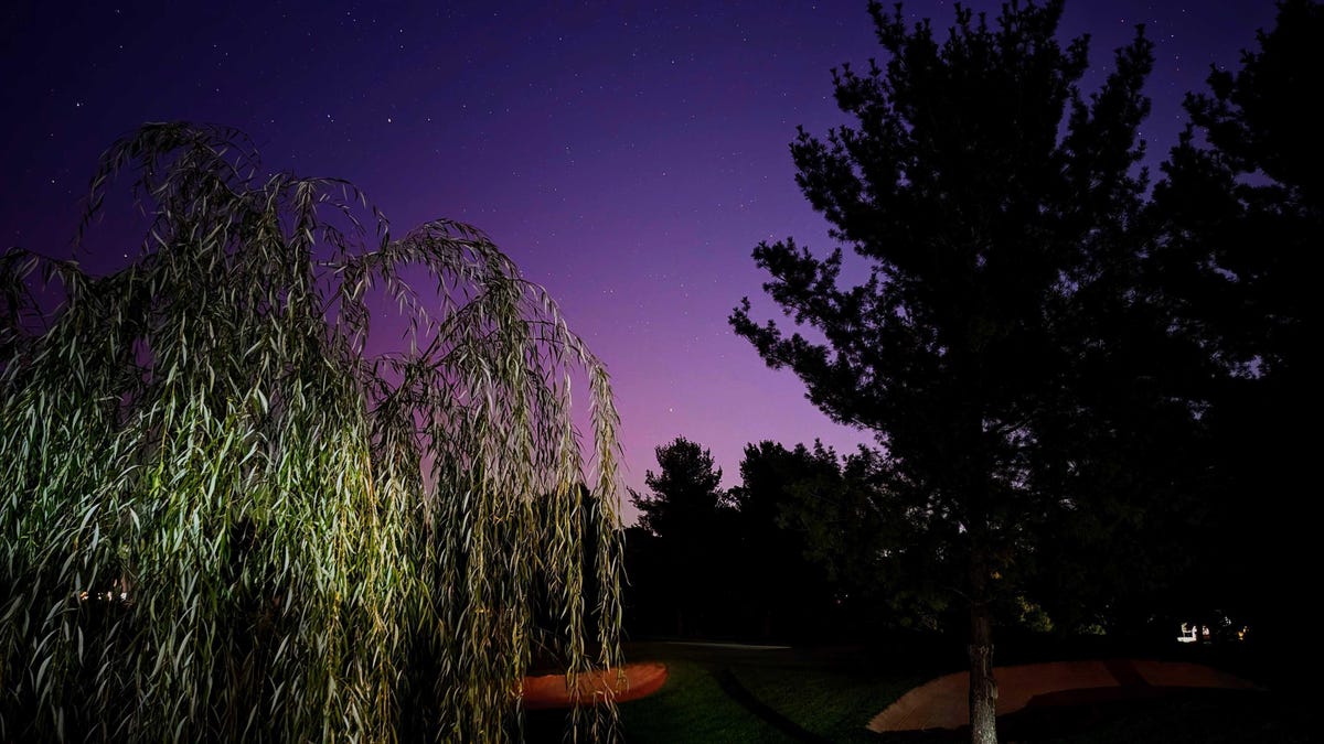 Purple aurora glow with trees in the foreground.