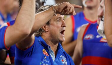 How Dogs, Crows contended with no clock