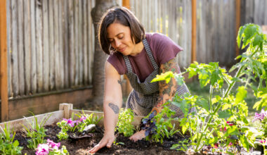 3 Ryobi Gardening Tools You Probably Didn't Realize Existed