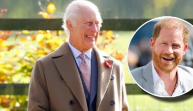 King Charles breathes sigh of relief as Prince Harry makes amends