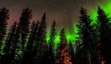 10 states could see northern lights tonight—here's when