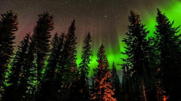 10 states could see northern lights tonight—here's when