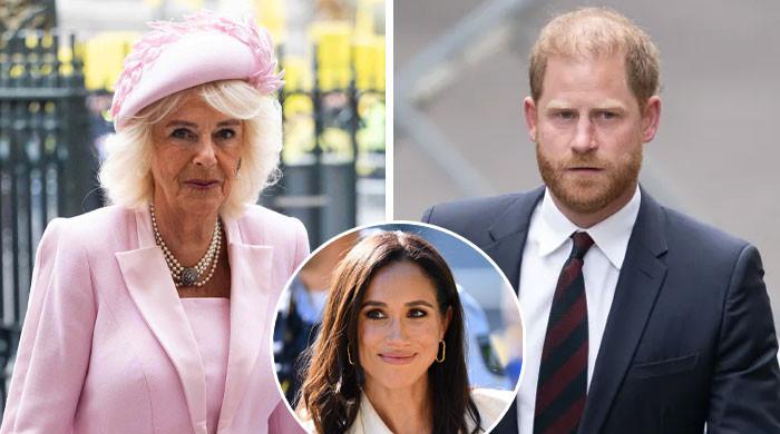Queen Camilla's quiet warning about Meghan as Harry left in tough spot