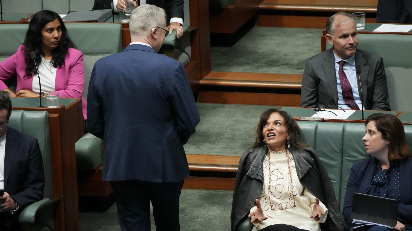 Anne Aly makes a face as Tony Burke passes. 