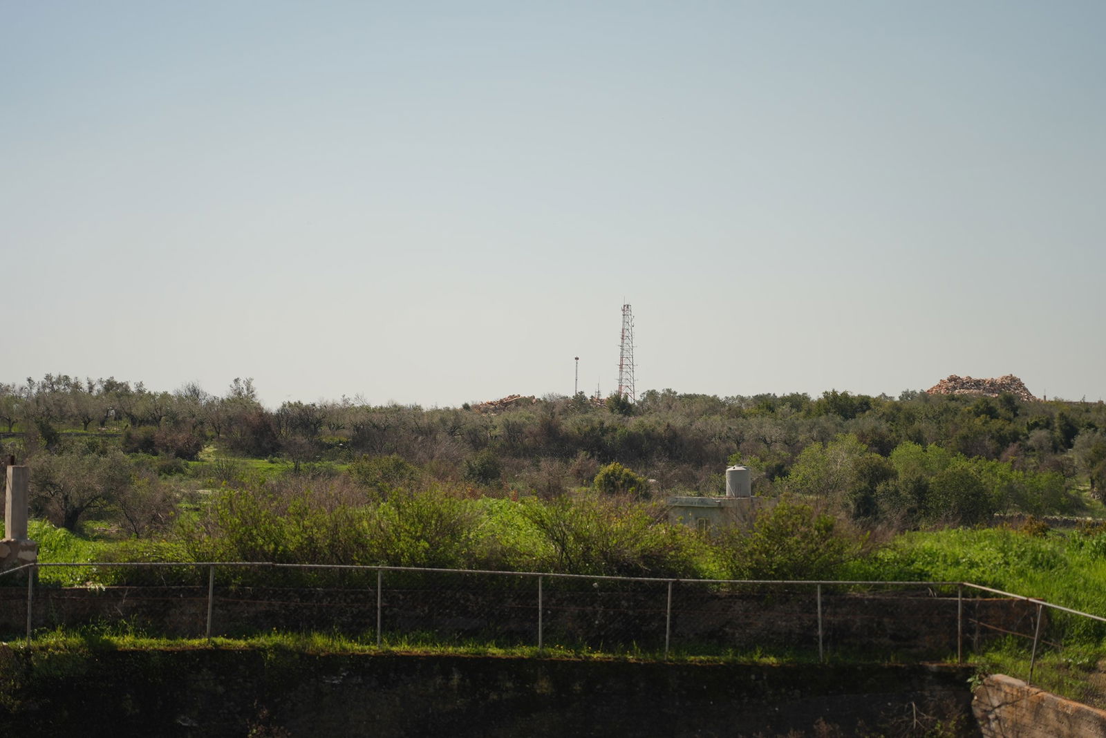 Greenscape with a tall tower in the distance on hill