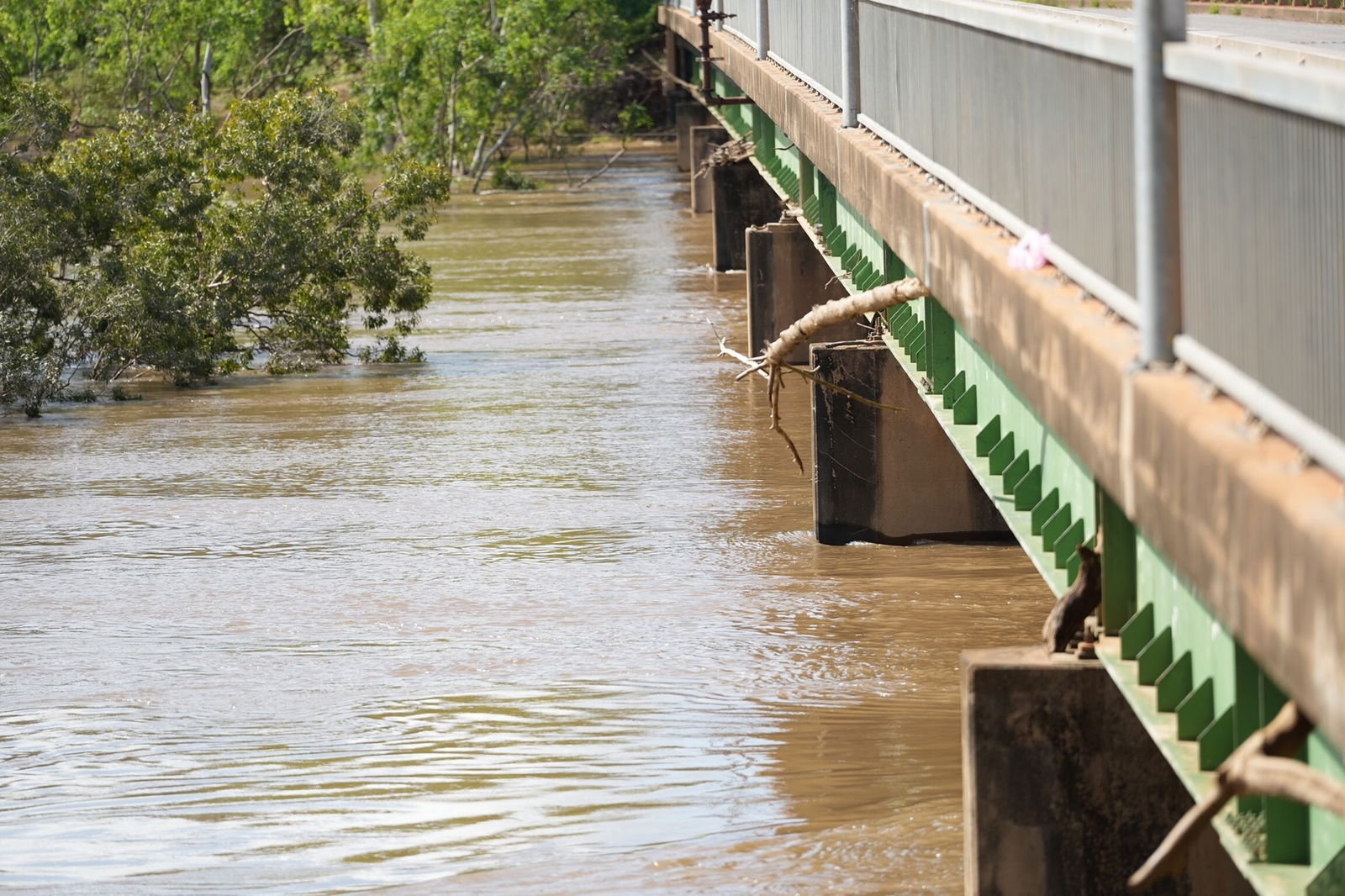 Flood debris hangs off a bridge.
