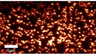 Extracting entropy information from quantum dots – Physics World