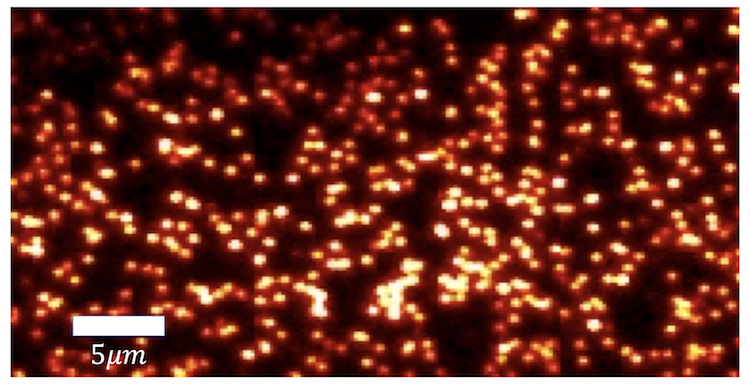 Extracting entropy information from quantum dots – Physics World