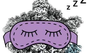 CryoPRISM: Tool Reveals Cells in Natural State