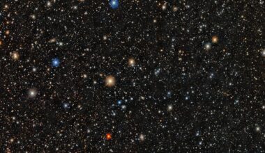 This image shows stars in the ultra-faint dwarf galaxy, Pictor II, a satellite galaxy of the Large Magellanic Cloud. Astronomers discovered a star here, PicII-503, with the lowest iron content ever measured outside of the Milky Way and an overabundance of carbon. It's the clearest example of a star within a primordial system that preserves the chemical enrichment of the Universe’s first stars and a missing link that connects carbon-enhanced stars observed in the Milky Way halo to an origin in ancient dwarf galaxies. Courtesy NOIRLab.
