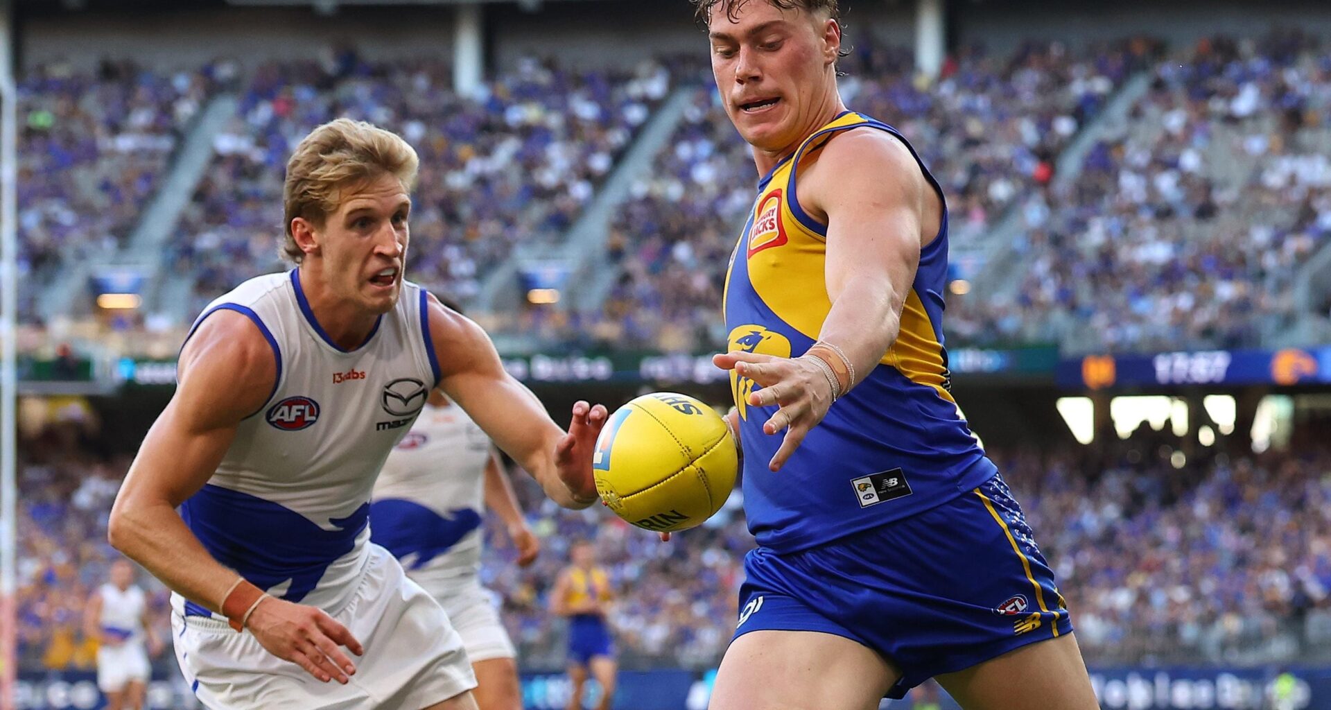 Harley one of four perfect 10s, Bont makes a move