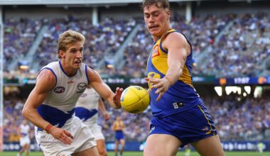 Harley one of four perfect 10s, Bont makes a move