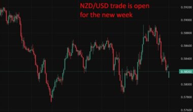 New Zealand outlook cut to negative by Fitch as debt concerns mount