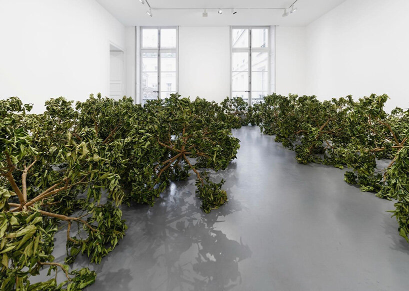 paola pivi imagines a living cosmos grown from lemon trees at perrotin paris exhibition - 3