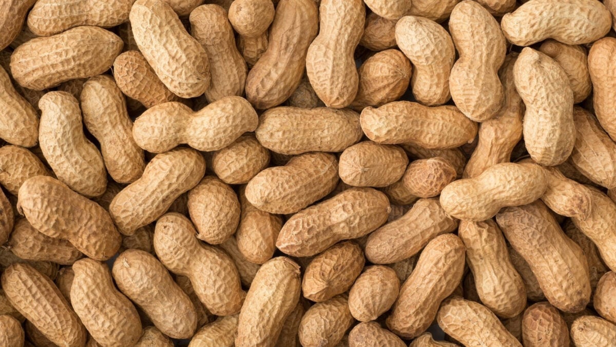 Scientists Find a Built-In Weapon Against Peanut Allergies: Human Spit