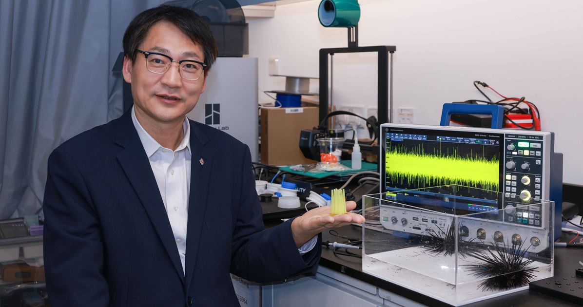 Sea Urchin Spines Inspire Next-Gen Biomimetic Sensors