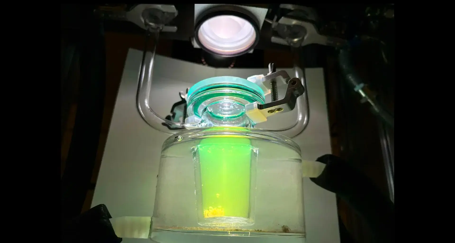 Brighter Side of News